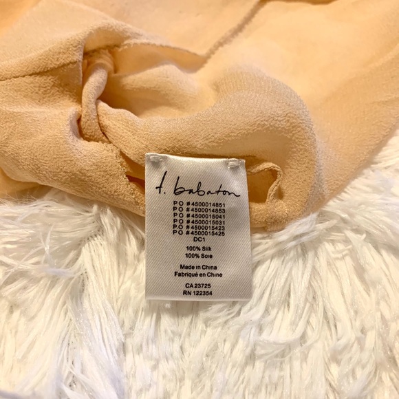 Aritzia sheer sleeveless blouse - Picture 7 of 7